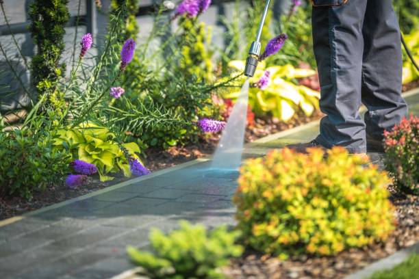 Best Pre-Holiday Cleaning  in Lebanon South, PA